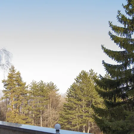 Szálloda Family Saint George Bisztrica